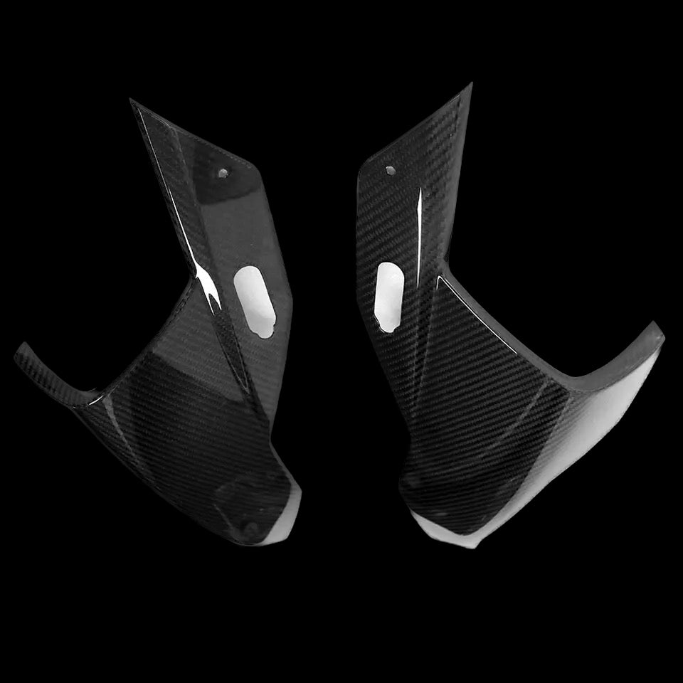 BMW S1000R S1000RR M1000RR Carbon Front ab 2019