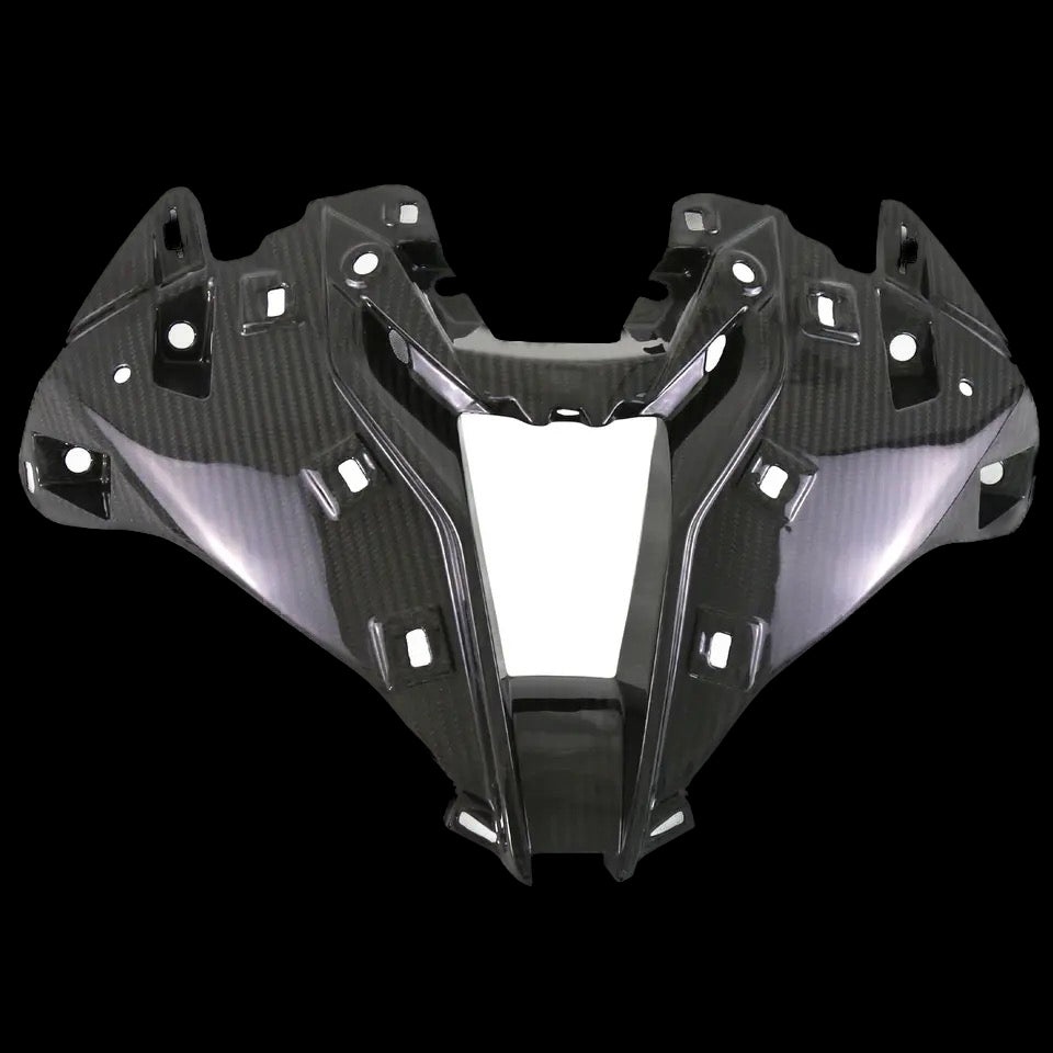 BMW S1000R S1000RR M1000RR Carbon Ram Air ab 2019