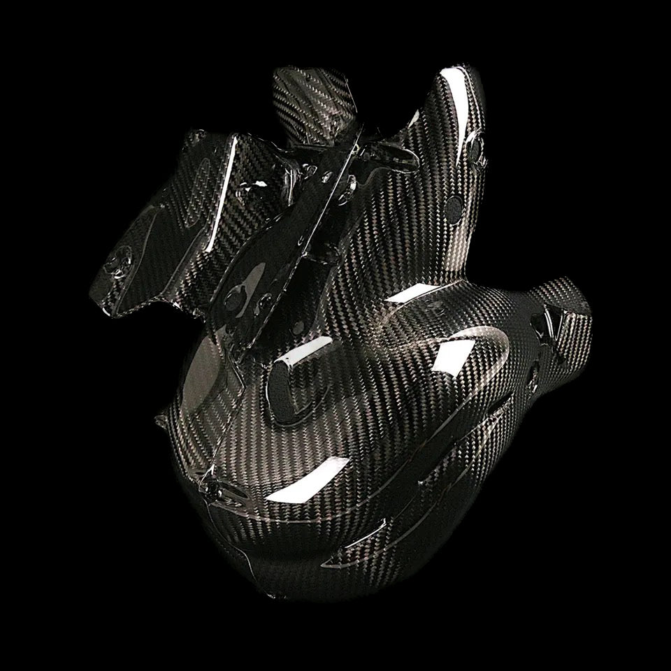 Ducati V4 Carbon Hitzeschutz