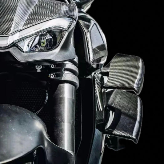 Ducati Streetfighter V2 V4 Carbon Winglets