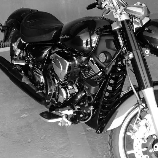 Harley Softail Fett Street Bob Breakout FXBR Kühlerschutz